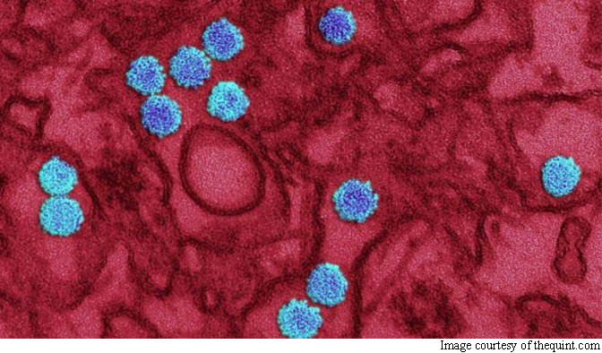 Color enhanced Zika virus under transmission electron microscope. The Zika virus, in blue, can be transmitted through mosquito bites and unprotected sex with infected males.