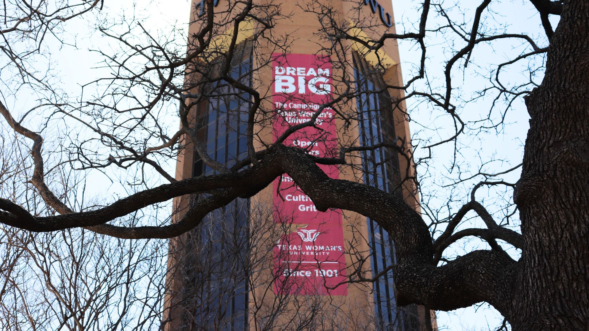 View of TWU ACT tower banner through dark tree branches